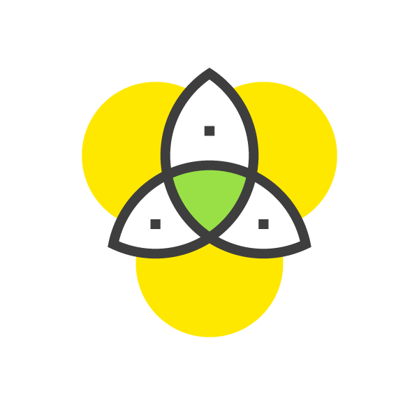Guide on how to open a Trampoline park Business